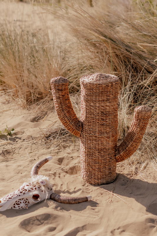 Cactus in water hyacinth