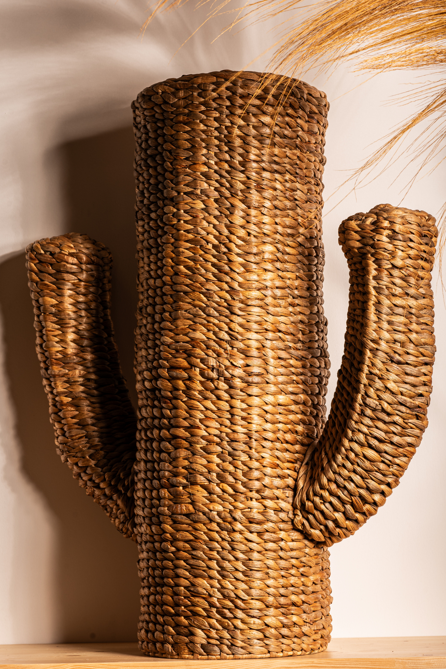 Cactus in water hyacinth