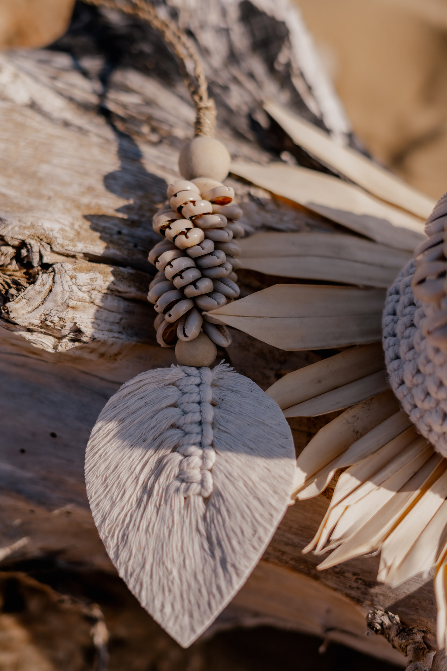 Decoration with shells and cotton